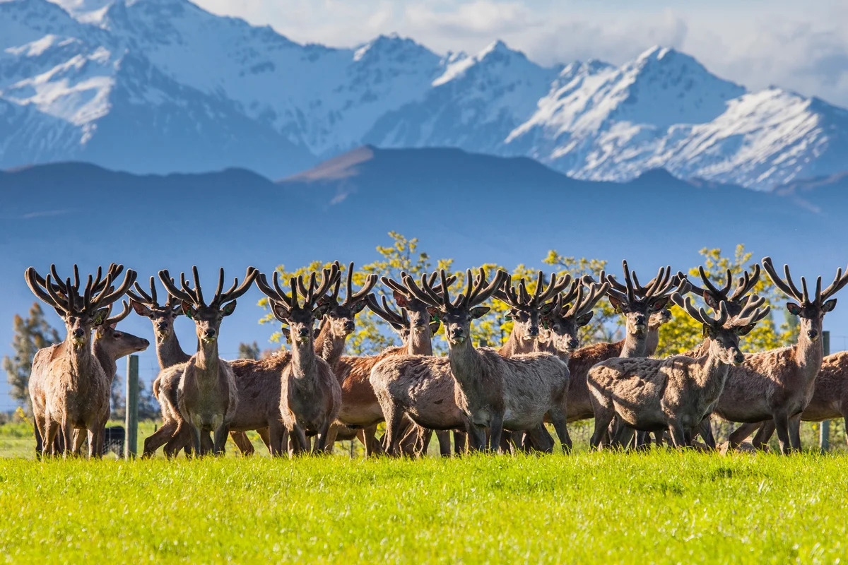 Путешествие в Бурятию 
